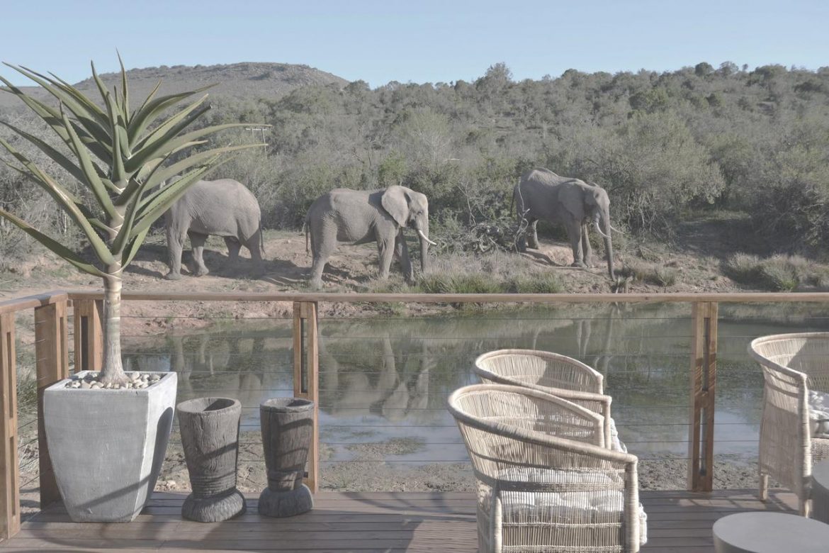 Barefoot Addo Elephant Lodge Südafrika